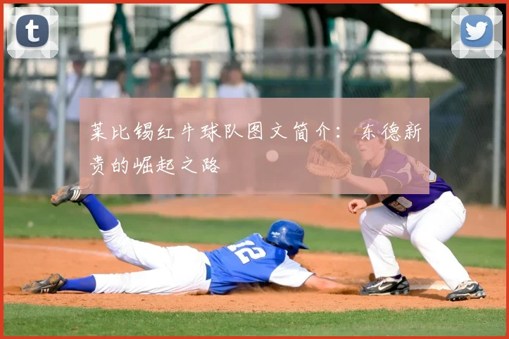 莱比锡红牛球队图文简介：东德新贵的崛起之路