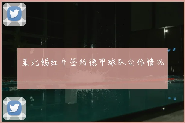 莱比锡红牛签约德甲球队合作情况