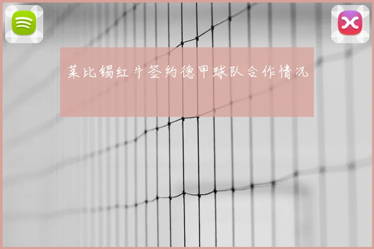 莱比锡红牛签约德甲球队合作情况